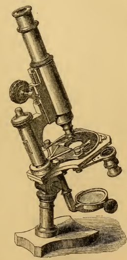 A picture containing wall, indoor, old
Description automatically generated