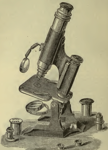 A picture containing wall, indoor, old
Description automatically generated