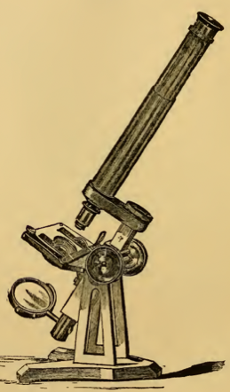 A picture containing text, old
Description automatically generated