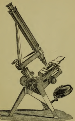 A picture containing old
Description automatically generated