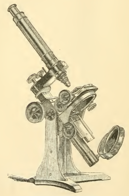 A picture containing weapon
Description automatically generated