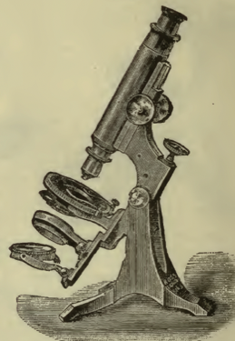 A picture containing text
Description automatically generated