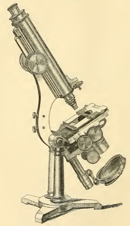 A picture containing weapon
Description automatically generated
