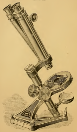 A picture containing text
Description automatically generated
