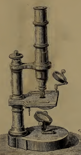 A picture containing wall, indoor
Description automatically generated