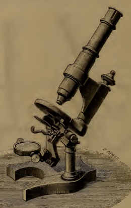 A picture containing indoor, key
Description automatically generated