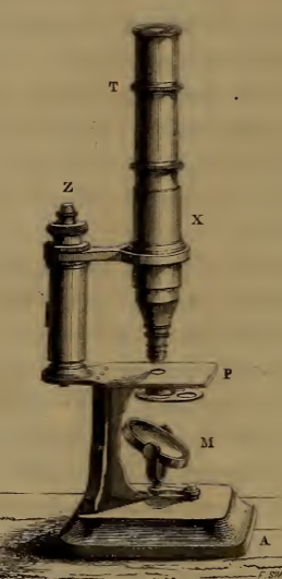 A picture containing text
Description automatically generated