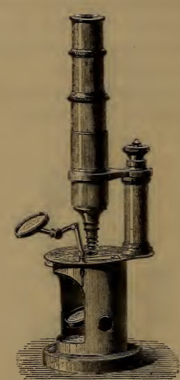 A picture containing wall, indoor, old
Description automatically generated