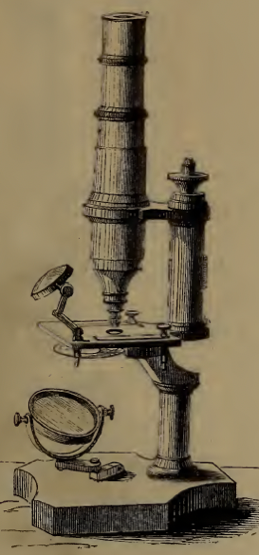 A picture containing text, wall, indoor, old
Description automatically generated