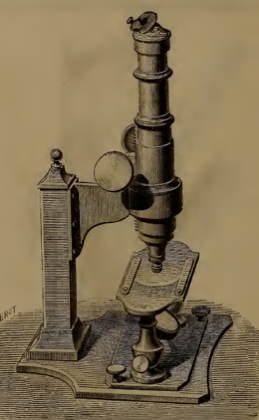 A picture containing wall, indoor
Description automatically generated