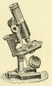 A picture containing old, photo, sitting, vintage
Description automatically generated