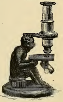 A picture containing indoor, sitting, table, small
Description automatically generated