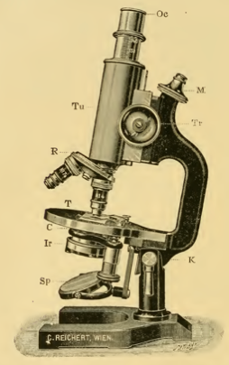 A picture containing small, sitting, motorcycle, old
Description automatically generated