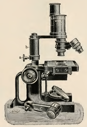 A picture containing sitting, photo, front, small
Description automatically generated