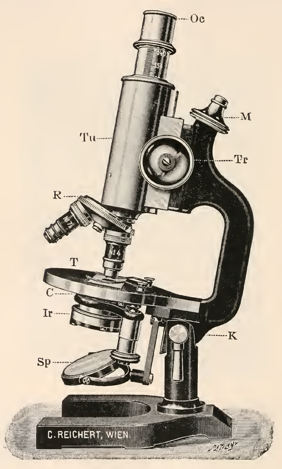 A picture containing object, indoor, sitting, small
Description automatically generated