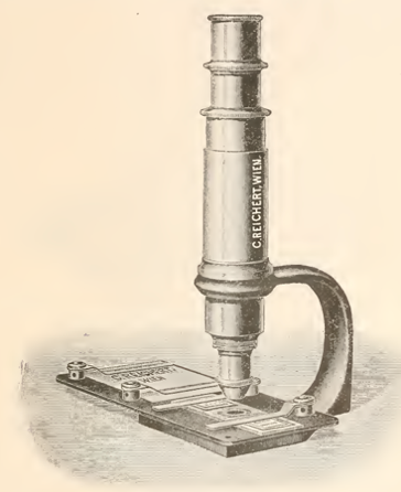 A picture containing ware, table, cup, sitting
Description automatically generated