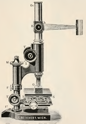 A picture containing photo, sitting, old, street
Description automatically generated