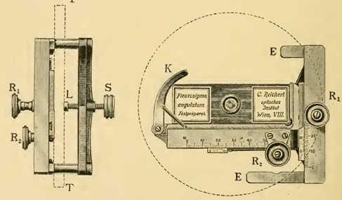 A picture containing photo, small, sitting, different
Description automatically generated