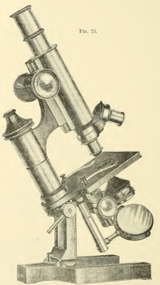 A vintage photo of a person
Description automatically generated