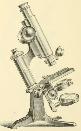 A picture containing table, old, large, person
Description automatically generated