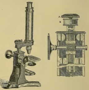 A picture containing old
Description automatically generated
