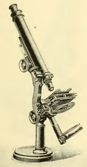 A picture containing sitting, old, photo, small
Description automatically generated