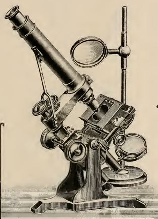 A picture containing object, photo, sitting, table
Description automatically generated
