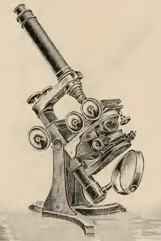 A picture containing photo, old, motorcycle, sitting
Description automatically generated