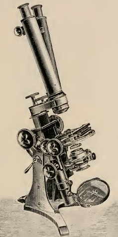 A picture containing object, photo, small, bicycle
Description automatically generated