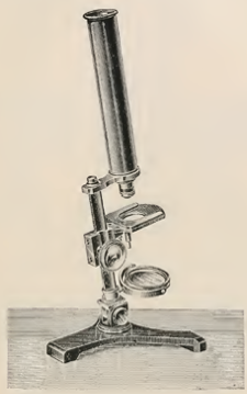 A picture containing sitting, table, holding, old
Description automatically generated