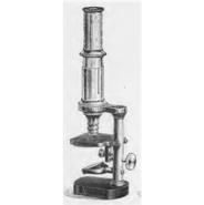 A picture containing appliance, indoor, sitting, table
Description automatically generated
