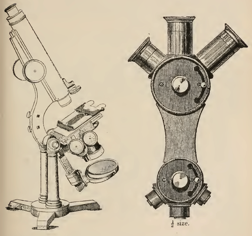 A picture containing sitting, table, old, clock
Description automatically generated