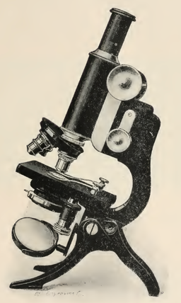 A picture containing small, sitting, old, holding
Description automatically generated