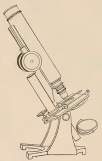 A picture containing drawing
Description automatically generated