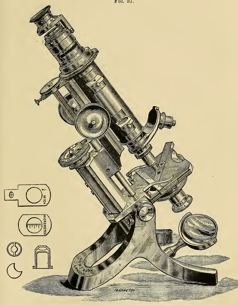 A picture containing motorcycle, person, parked
Description automatically generated