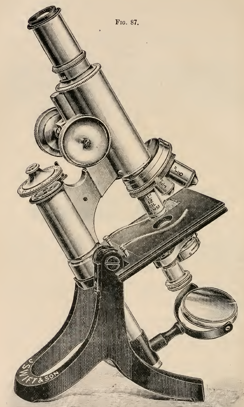 A picture containing sitting, photo, small, old
Description automatically generated