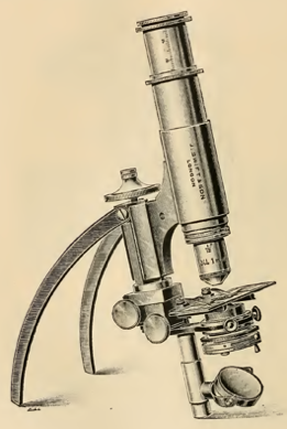 A picture containing photo, person, old, large
Description automatically generated