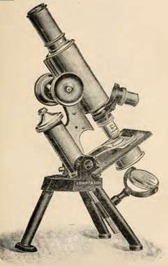 A picture containing object, photo, old, sitting
Description automatically generated