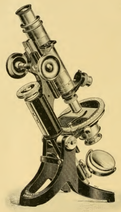 A picture containing object, motorcycle, photo, sitting
Description automatically generated