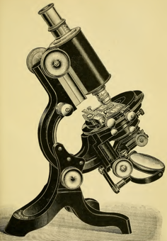 A picture containing motorcycle, sitting, photo, small
Description automatically generated