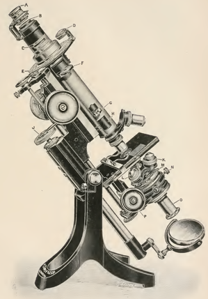 A picture containing object, motorcycle, small, photo
Description automatically generated