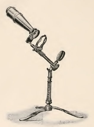 A picture containing sitting
Description automatically generated