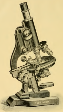 A picture containing photo, sitting, front, motorcycle
Description automatically generated