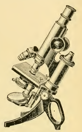 A picture containing motorcycle, photo, person
Description automatically generated