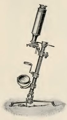 A picture containing mirror, sitting, table, old
Description automatically generated