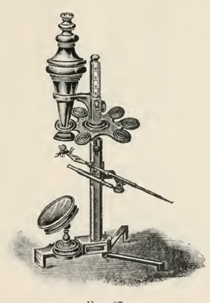 A picture containing table, small, sitting, old
Description automatically generated