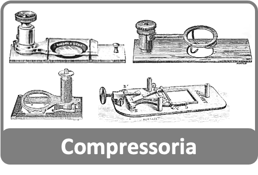 Turner (1989) The great age of the microscope (Catalogue of the RMS ...