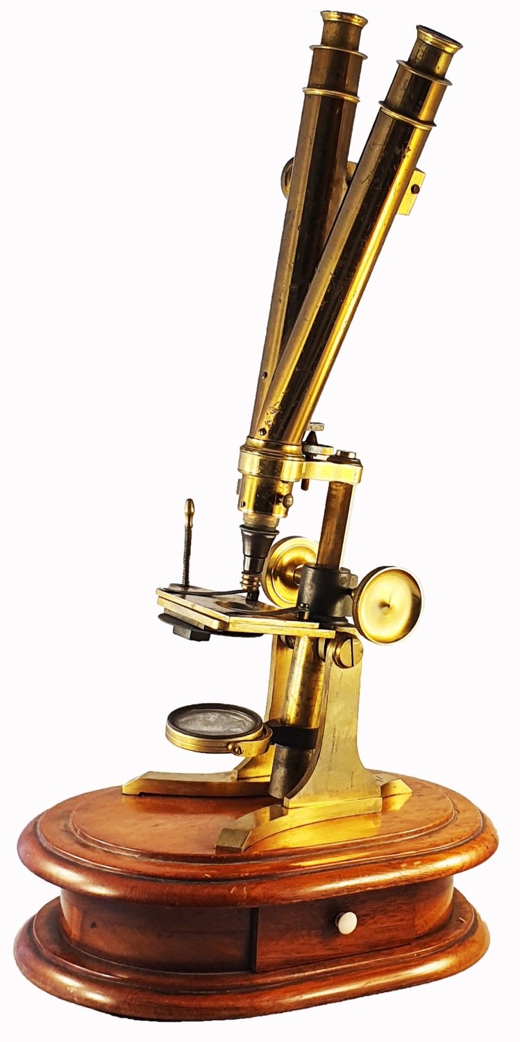 A close-up of a gold microscopeDescription automatically generated