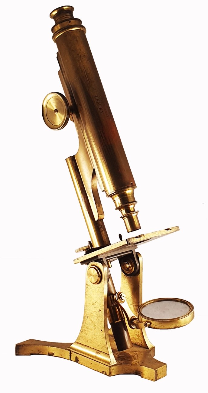 Smith Microscope A close-up of a microscopeDescription automatically generated