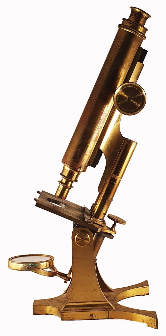 Smith Microscope A close-up of a microscopeDescription automatically generated